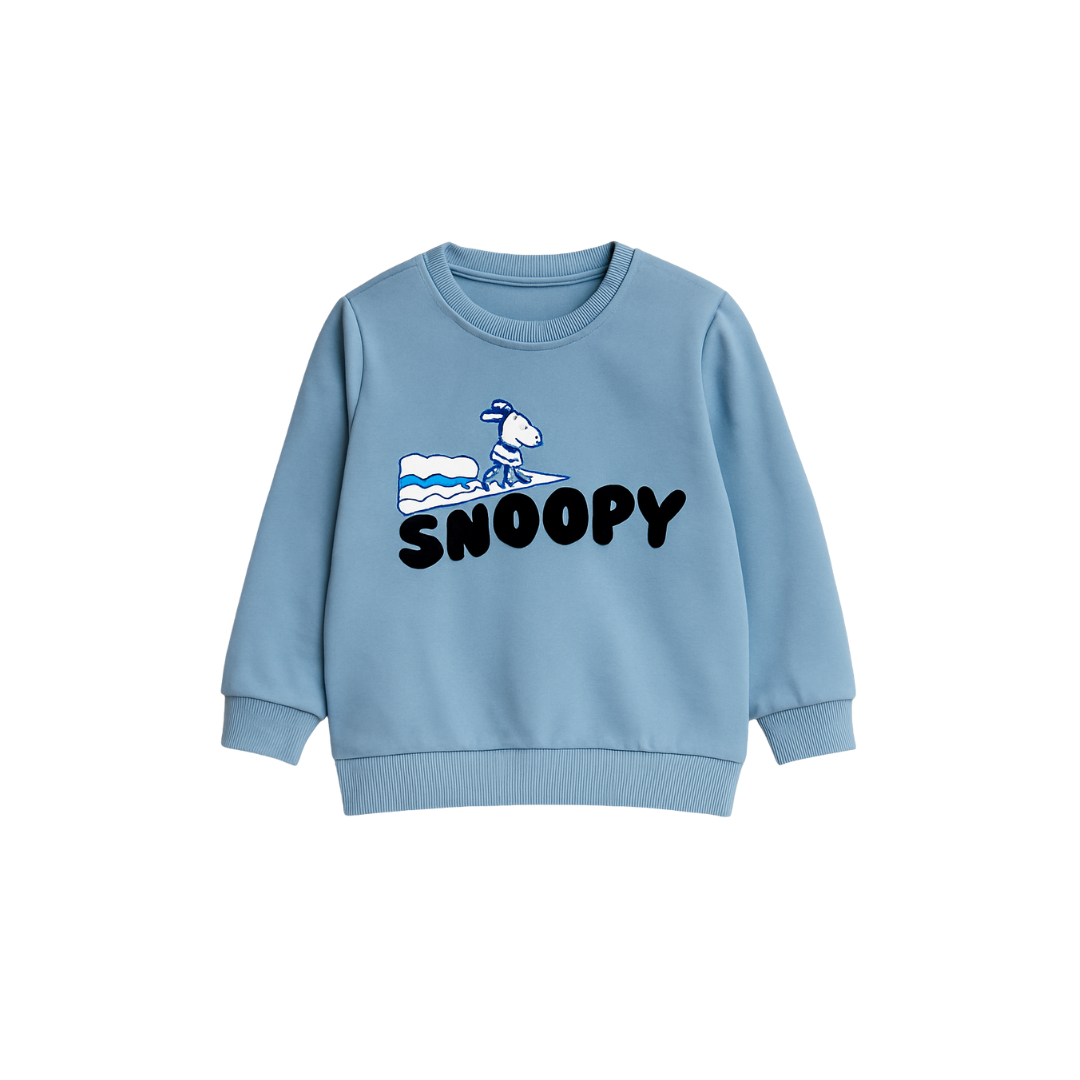 Beechtree Boys Sweatshirt